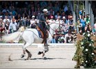 Pferd International 119